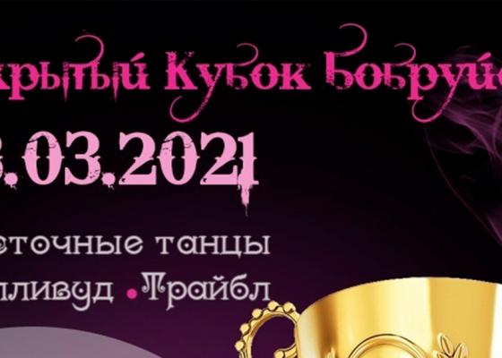 Кубок Бобруйска